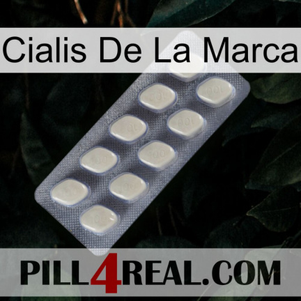 Brand Cialis 08